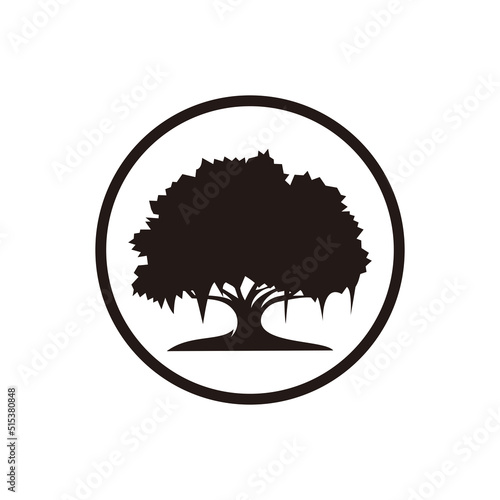 Oak tree icon vector symbol illustration © MD_01