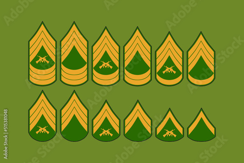 Army enlisted rank design vector flat illustration