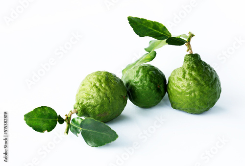 green Leech lime