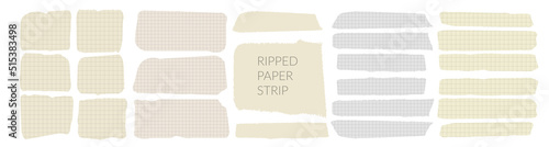 Torn ripped paper rectangle shape vector illustration. Cutout collage piece, shred strip, cut sheets with square grid. Blank horizontal note. Calligraphy border, isolated grunge header background