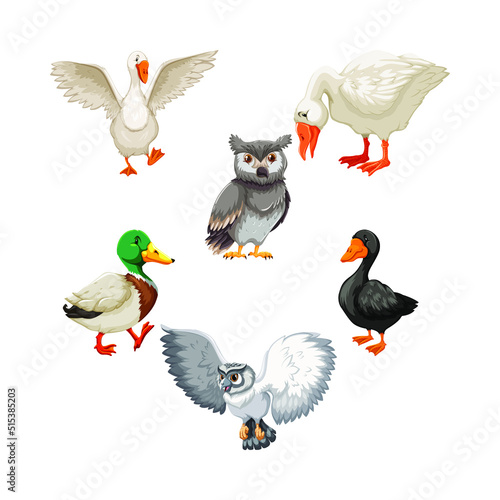 Poultry animal cartoon character