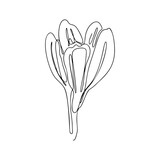 One Line Drawing, Single Continuous Line Sketch Flower