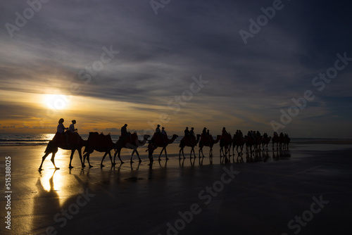 Camel ride at sunset at Cable Beach in Broome  Western Australia