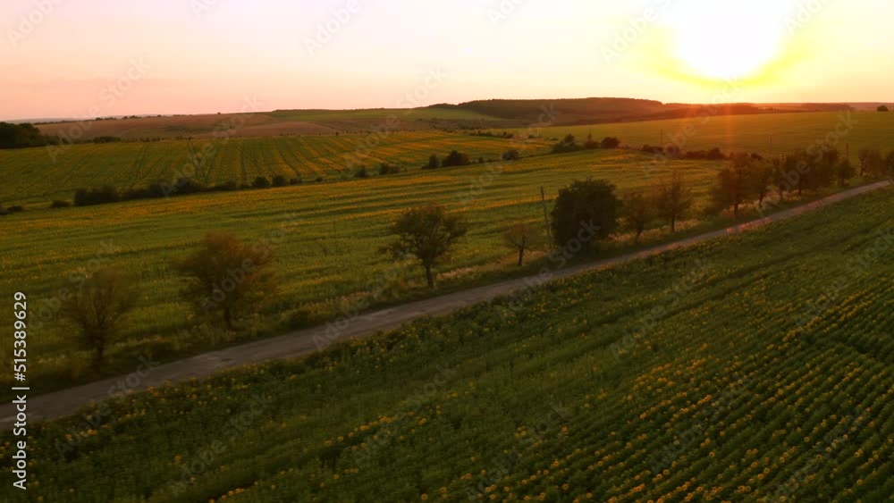 Agricultural area in the evening light, taken from a drone. Agricultural area in the evening light, taken from a drone.
