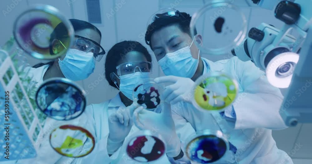 Young scientists experimenting with petri dish in a laboratory. Diverse ...