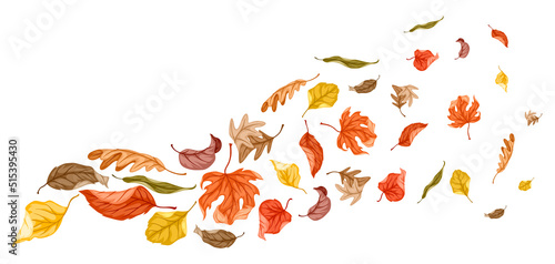 Background with autumn foliage. Illustration of leaves.