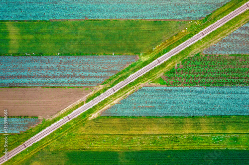 Fototapeta Naklejka Na Ścianę i Meble -  Kolorowe pola uprawne widziane z góry, rolniczy krajobraz polskiej wsi. 


