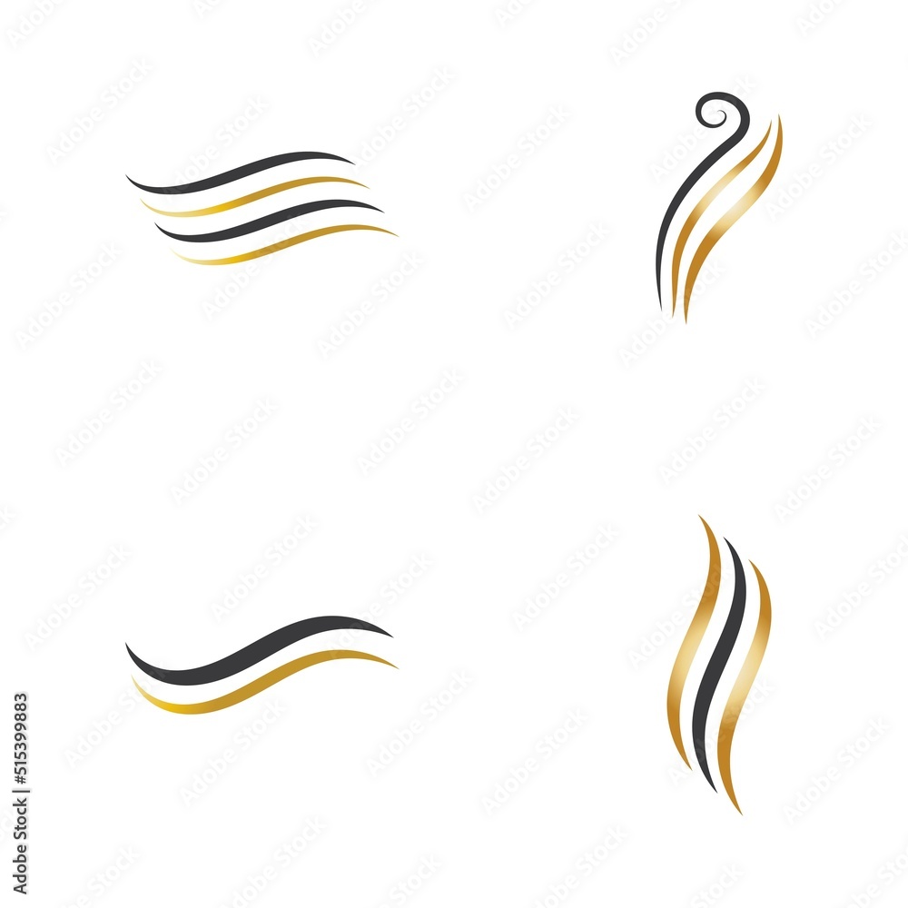 Fototapeta premium hair wave logo vector illustration design