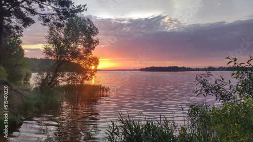 In the morning  the sun rises over the lake and shines through the clouds. The shores of the lake are covered with forest  reeds grow in the water. The branches of pines and willows overhang the water
