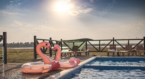 Two inflatable flamingos near the pool with clear water under the summer sun