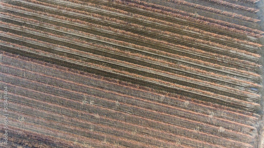 Aerial Aerial