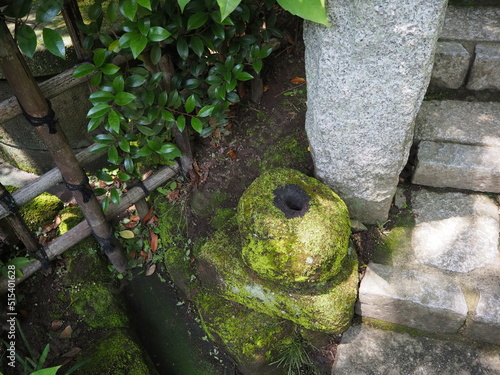 お寺の苔むした石