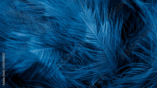 blue feathers with visible detail. background or texture