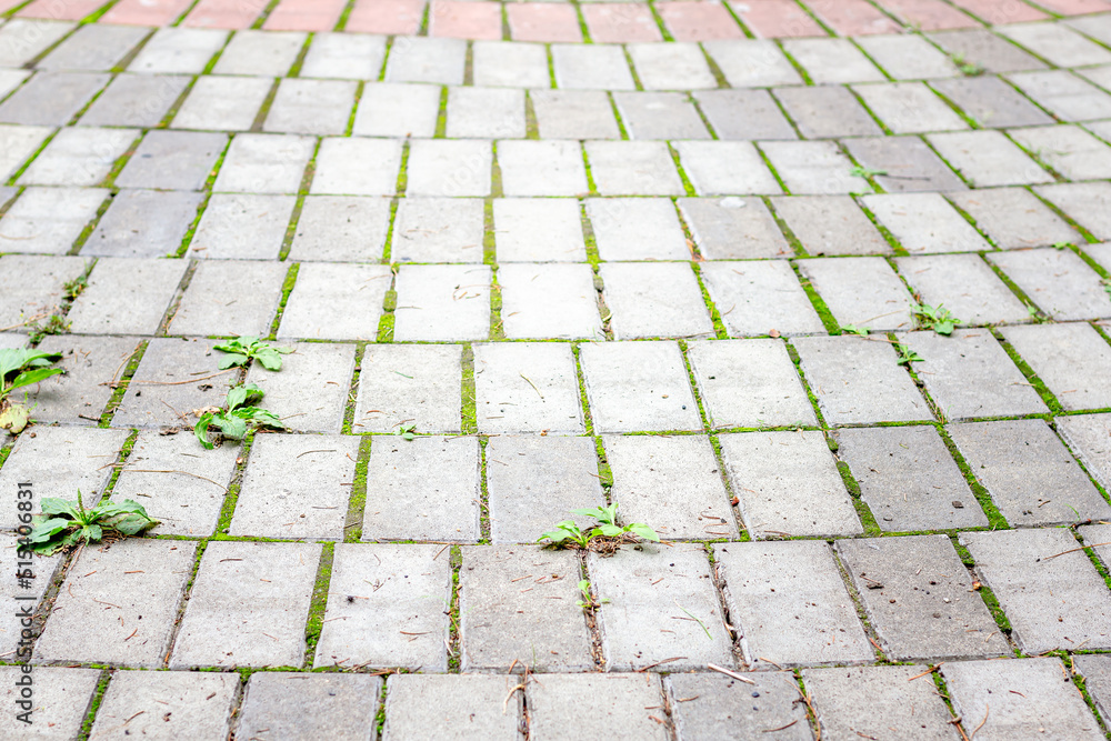 Fototapeta premium abstract background from paving slabs, stone pavement. Gray paving slabs, selective focus