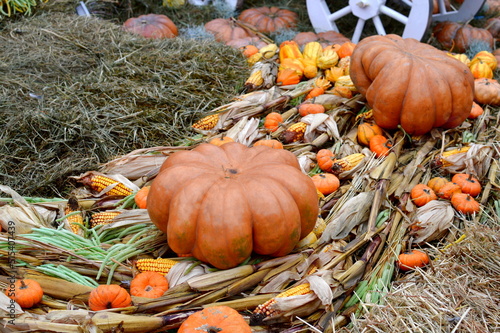 Pumpkin and corn decorations at a harvest festival