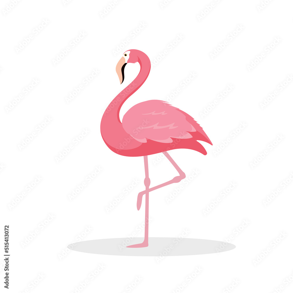 Pink flamingo isolated on white background. Exotic tropical birds characters. Vector stock