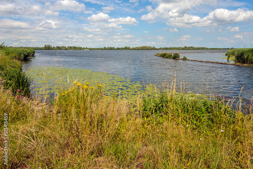 The Dutch river Amer seen from the bank near the village of Drimmelen, province of North Brabant. A motor yacht is sailing on the river. On the other side is the National Park De Biesbosch.