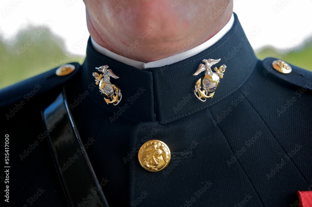 Closeup of a groom's marine corps uniform symbols dressed on his wedding day - obrazy, fototapety, plakaty 