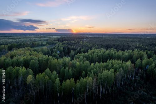 Fotografie Aerial view on sunset above treetops