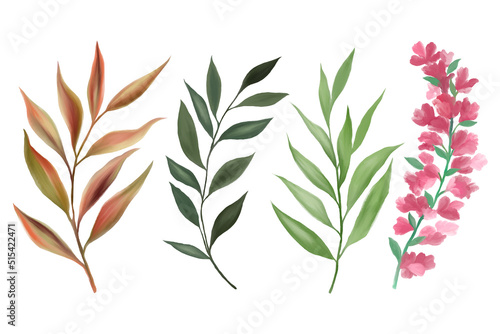 Watercolor gouache wild field botabical leaf foliage arrangement ornament hand drawn illustration element photo