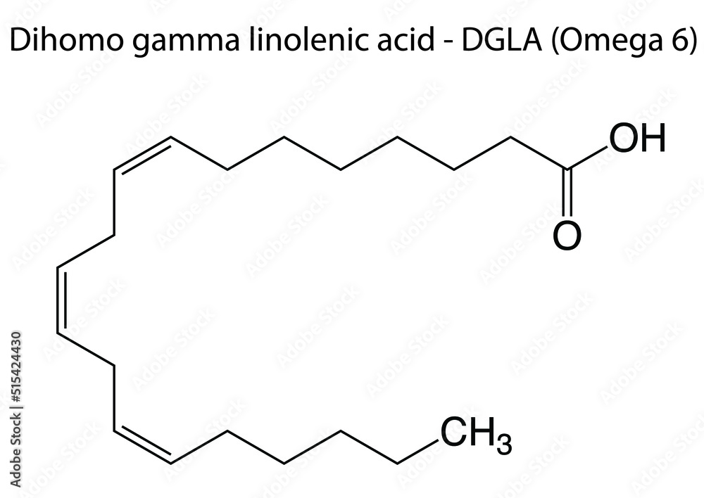 Digital vector illustration of the chemical structure of dihomo gamma ...