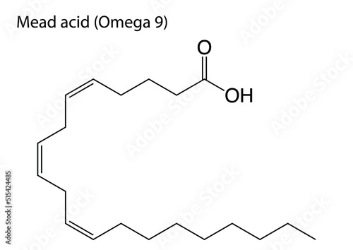 Digital vector illustration of the chemical structure of Mead Acid or Omega 9