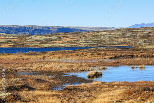 Forollhogna National park, Norway © liramaigums