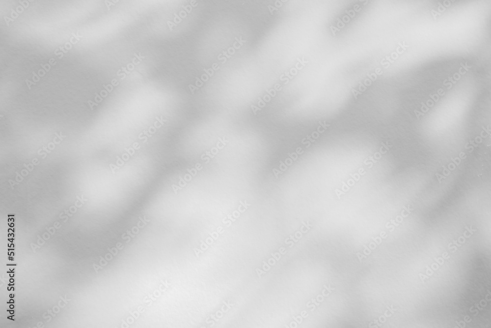 Abstract natural tree leaves shadow on white wall background Abstract natural tree leaves shadow on white wall background