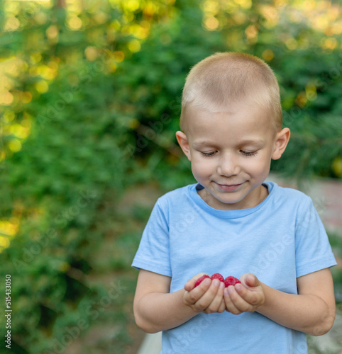 The child holds a raspberry in his hands and looks at it.   opy space