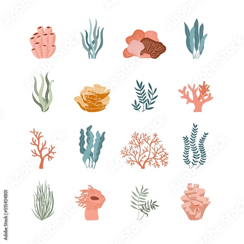 Underwater ocean flora flat icons. Trendy coral reef and water plants vector set. Aquarium algae, laminaria, seaweed isolated on white background...
