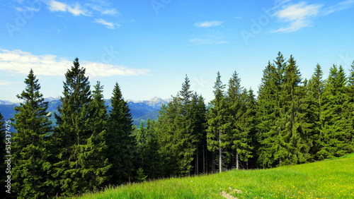 Herrliches Wandergebiet mit Blick auf Wetterstein im Ammergau mit Wiesen, Weg und Wald unter blauem Himmel