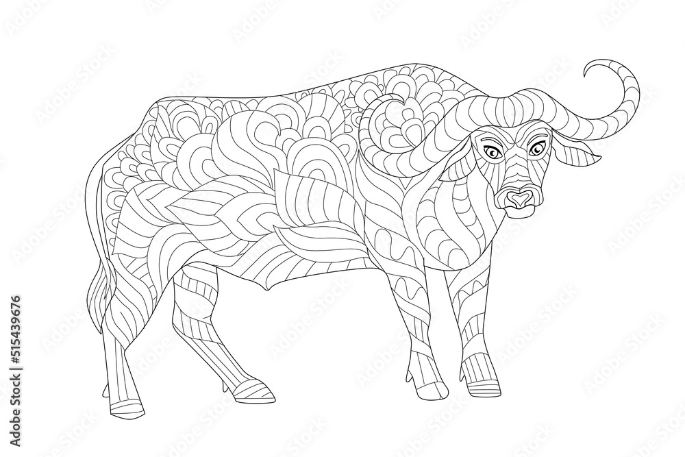 Fototapeta premium African buffalo for your coloring book