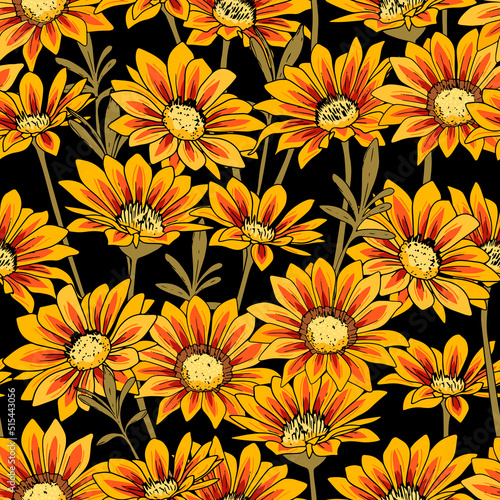 Seamless pattern with yellow and red gazania flower. Botanical gaillardia flower illustration on black background