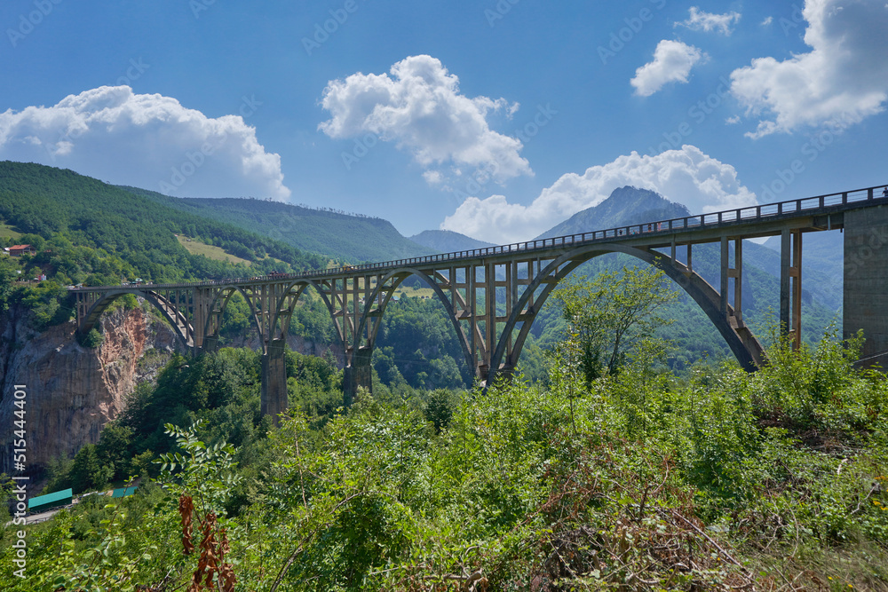 Landscape with bridge over Tara river in mountains. Djordjevic Bridge