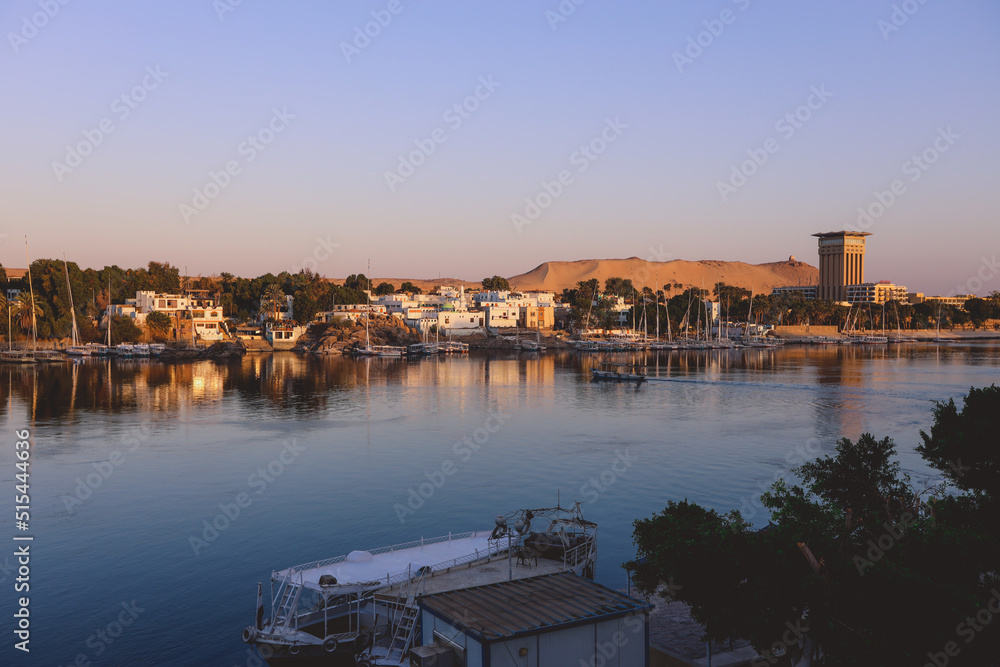 Sunset View to the Panoramic Aswan cityscape with the Palm Trees, Egypt