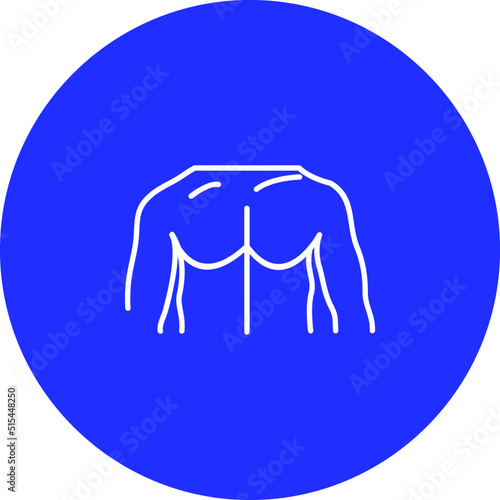 Unique Chest Vector Icon
