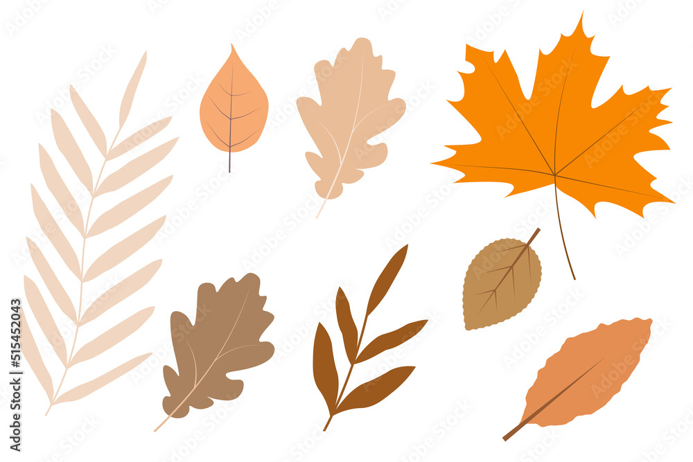 simple vector background autumn leaves