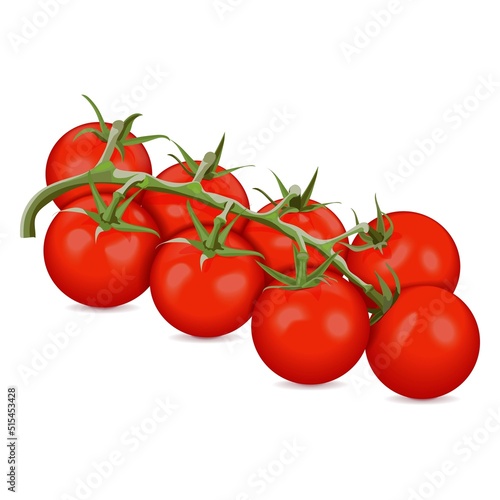 Branch of red cherry tomatoes for banners, flyers, posters, cards, social media. Fresh organic and healthy, diet and vegetarian vegetables. Vector illustration isolated on white background
