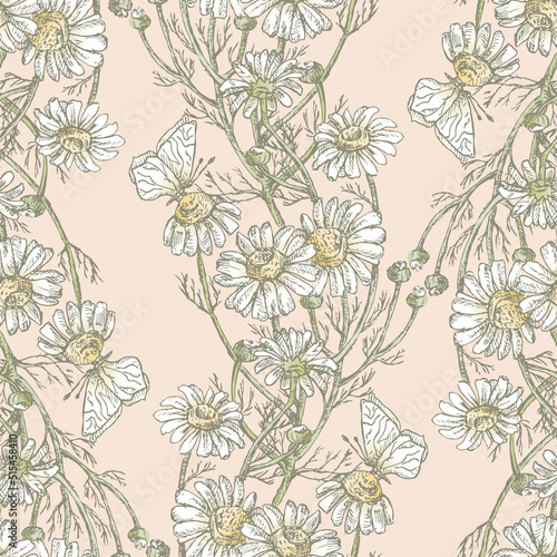 Seamless pattern of drawn meadow camomiles bunches