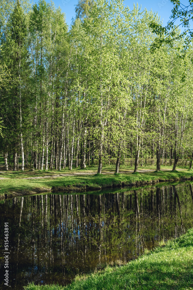 beautiful river in the city in summer