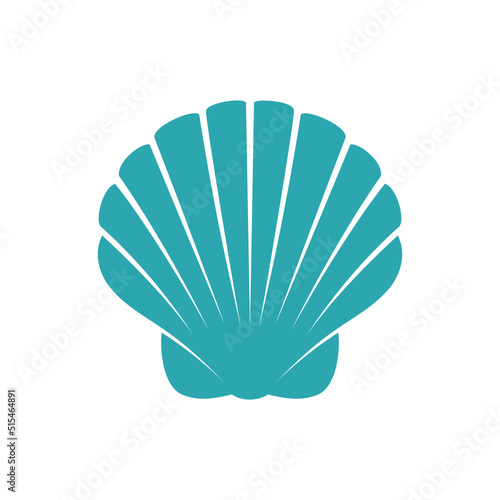 seashell on white background