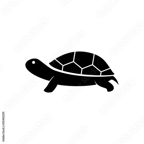 Fotografia turtle isolated on white