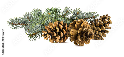 Brown pine cone on white background with clipping pass