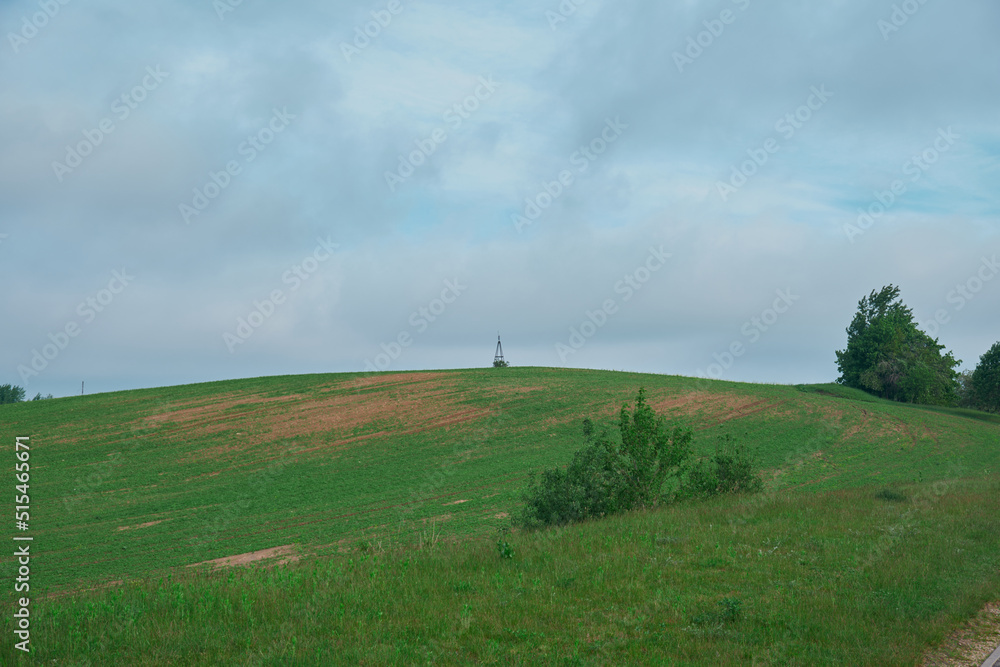 Beauty landscape of grass field with forest trees and environment public park with sun rays Beauty landscape of grass field with forest trees and environment public park with sun rays