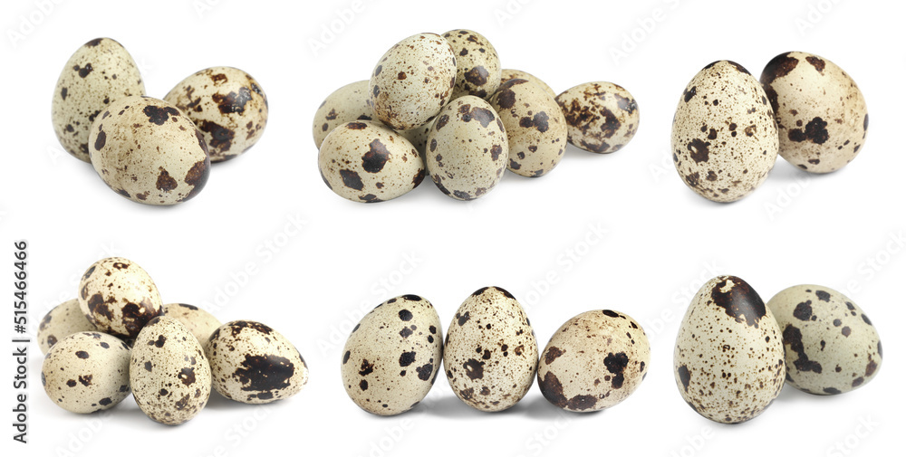 Set with quail eggs on white background. Banner design Set with quail eggs on white background. Banner design