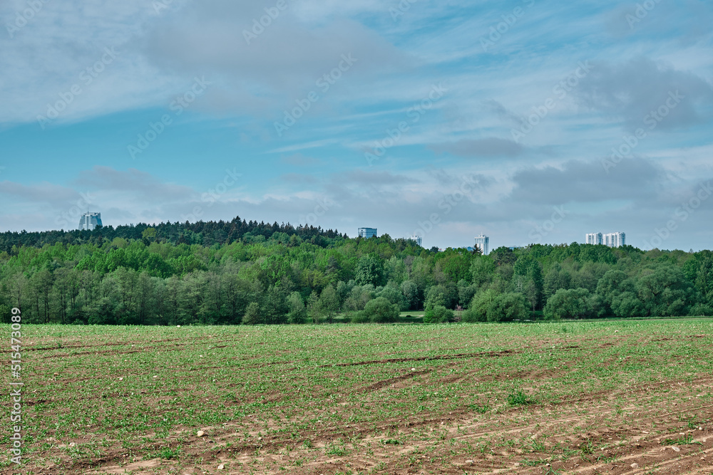 Fototapeta premium Beauty landscape of grass field with forest trees and environment public park with sun rays