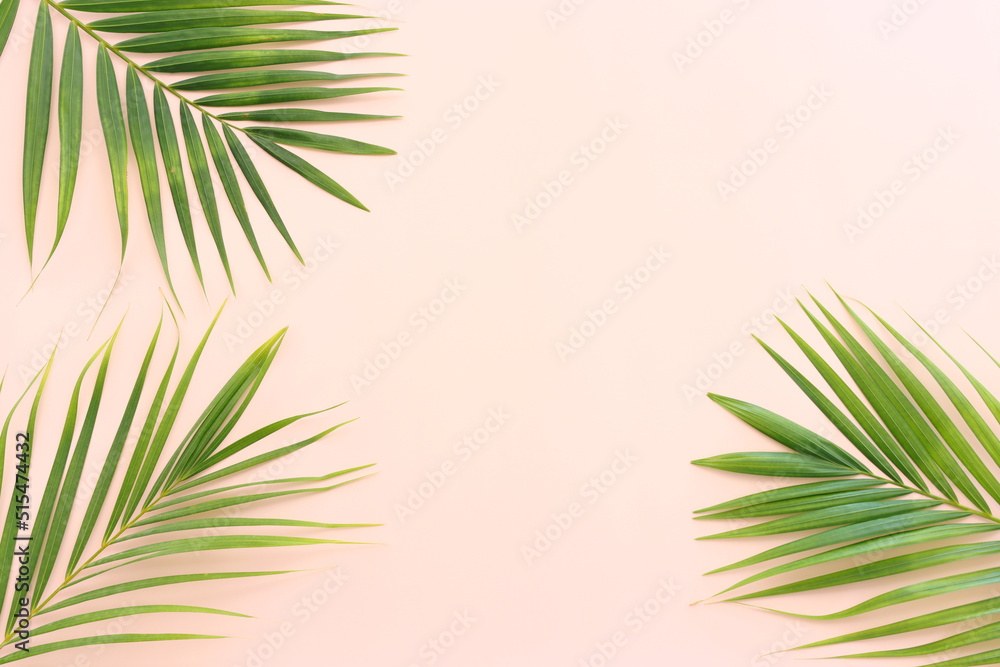 Image of tropical green palm over pink pastel background Image of tropical green palm over pink pastel background