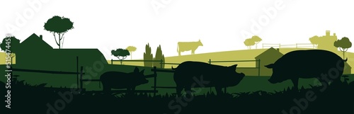 Pigs graze in pasture. Picture silhouette. Farm pets. Rural landscape with farmer house. Animals for meat and fat. Isolated on white background. Vector
