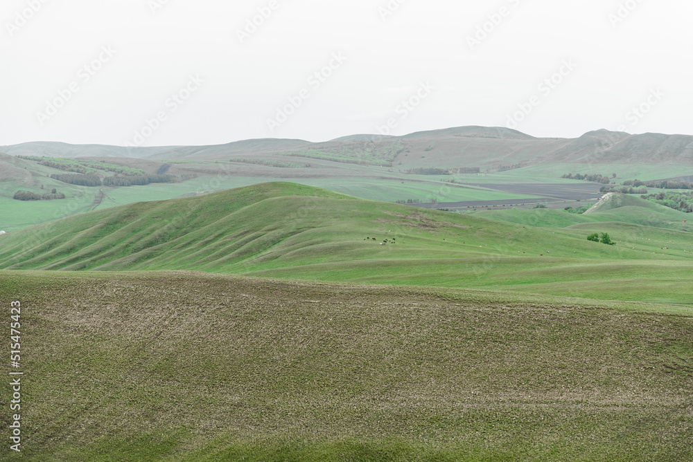 mountains nature and green fields