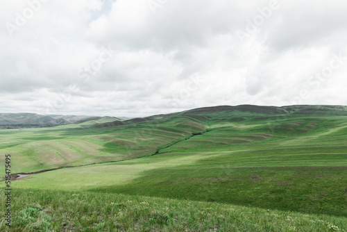 mountains nature and green fields